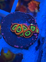Emeralds on fire